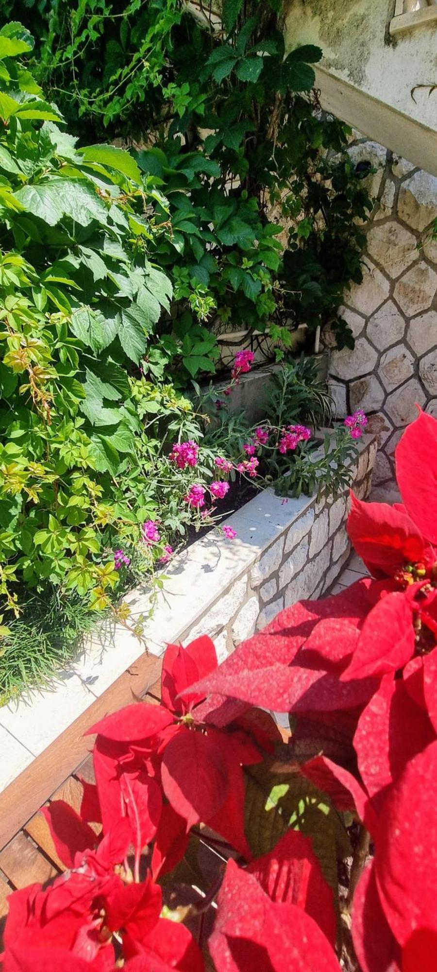 Apartment Lea Bayview Dubrovnik Buitenkant foto